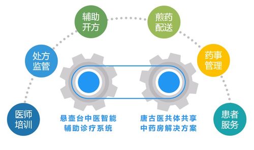 唐古信息攜手微醫(yī)蓮芯健康 啟動(dòng)縣域醫(yī)共體中醫(yī)藥服務(wù)雙引擎網(wǎng)絡(luò)信息技術(shù)推廣服務(wù)