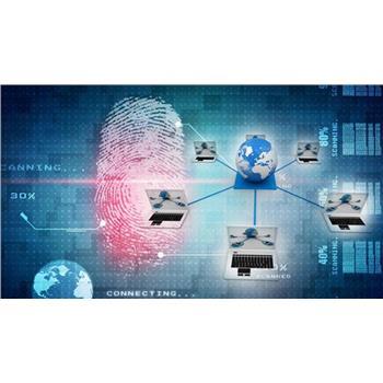 河北官方網(wǎng)絡(luò)推廣服務(wù)解析 客戶至上的羅卜特科技信息技術(shù)